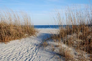 hilton-head-sand-dunes.jpg