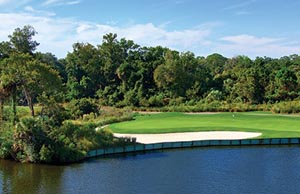 palmetto-dunes-course.jpg